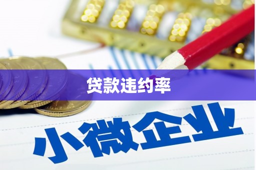 武平贷款违约率