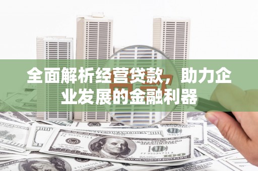 武平全面解析经营贷款，助力企业发展的金融利器