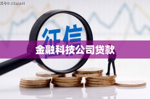 武平金融科技公司贷款