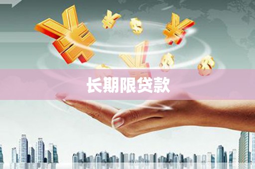武平长期限贷款