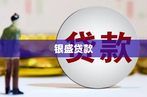 武平银盛贷款
