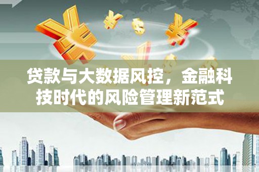 武平贷款与大数据风控，金融科技时代的风险管理新范式
