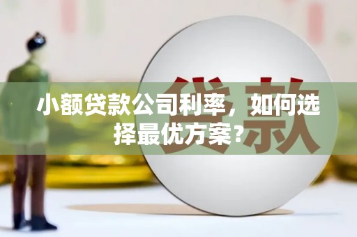武平小额贷款公司利率，如何选择最优方案？