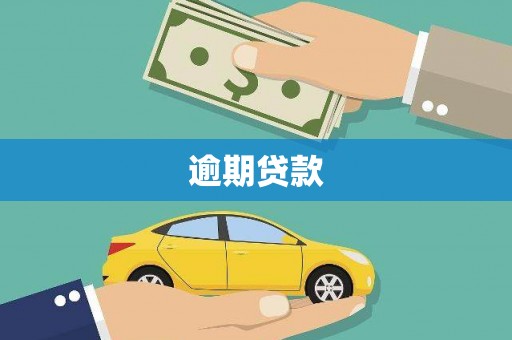 武平逾期贷款