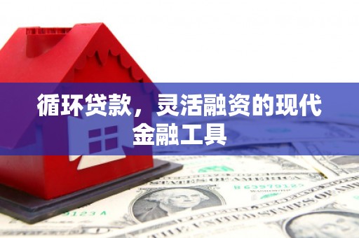 武平循环贷款，灵活融资的现代金融工具
