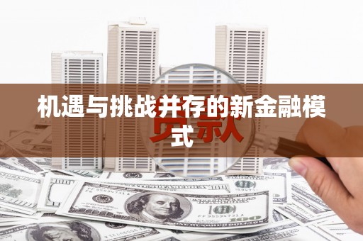 武平机遇与挑战并存的新金融模式