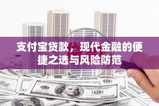 武平支付宝贷款，现代金融的便捷之选与风险防范