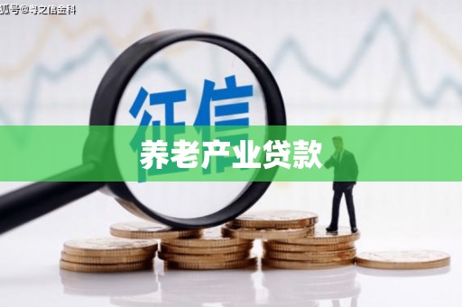 武平养老产业贷款