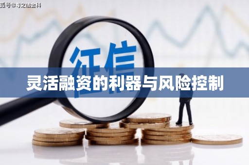 武平灵活融资的利器与风险控制