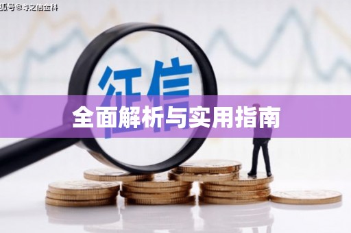 武平全面解析与实用指南