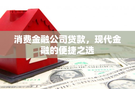 武平消费金融公司贷款，现代金融的便捷之选