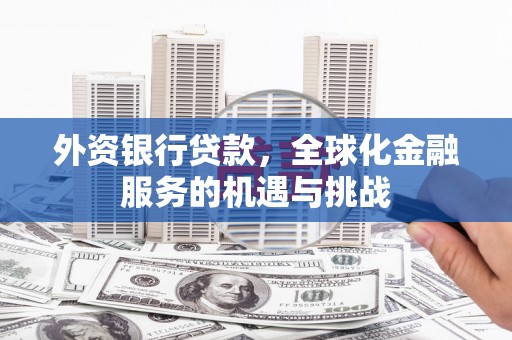 武平外资银行贷款，全球化金融服务的机遇与挑战