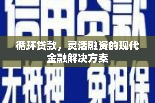 武平循环贷款，灵活融资的现代金融解决方案