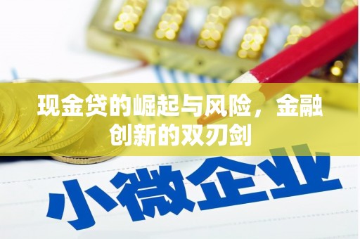 武平现金贷的崛起与风险，金融创新的双刃剑