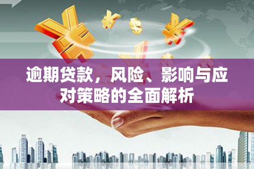 武平逾期贷款，风险、影响与应对策略的全面解析