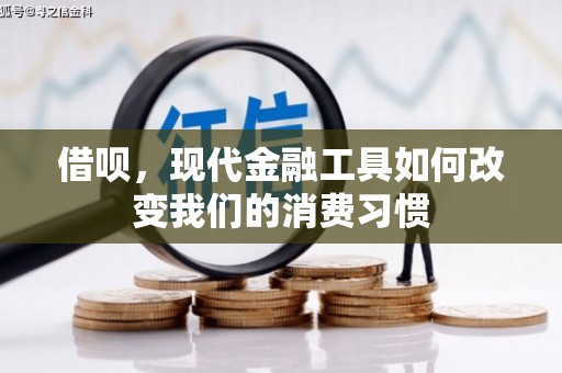 武平借呗，现代金融工具如何改变我们的消费习惯