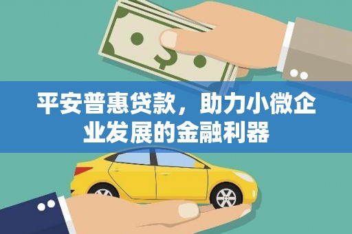 武平平安普惠贷款，助力小微企业发展的金融利器