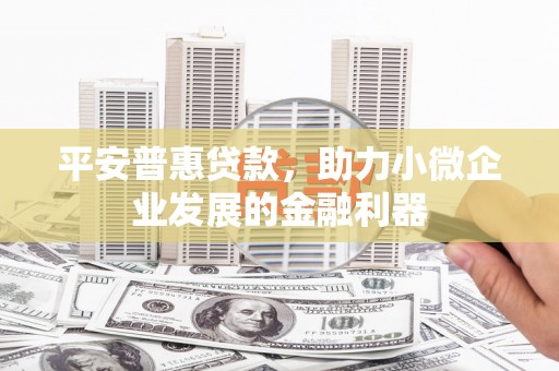 武平平安普惠贷款，助力小微企业发展的金融利器