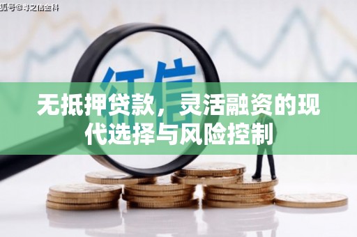 武平无抵押贷款，灵活融资的现代选择与风险控制