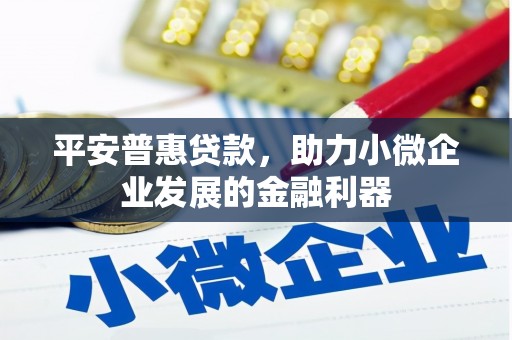 武平平安普惠贷款，助力小微企业发展的金融利器