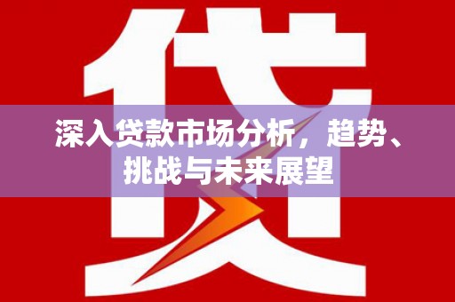 武平深入贷款市场分析，趋势、挑战与未来展望