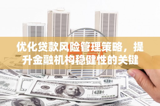 武平优化贷款风险管理策略，提升金融机构稳健性的关键