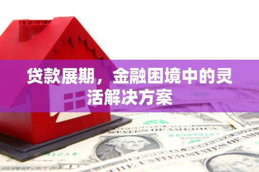 武平贷款展期，金融困境中的灵活解决方案