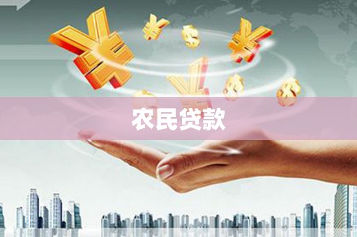 武平农民贷款