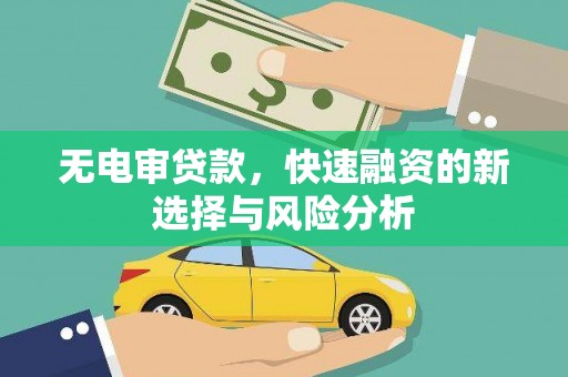 武平无电审贷款，快速融资的新选择与风险分析