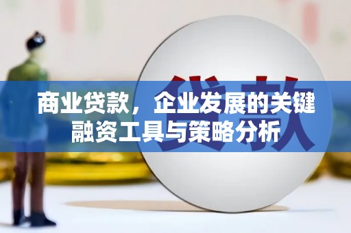 武平商业贷款，企业发展的关键融资工具与策略分析