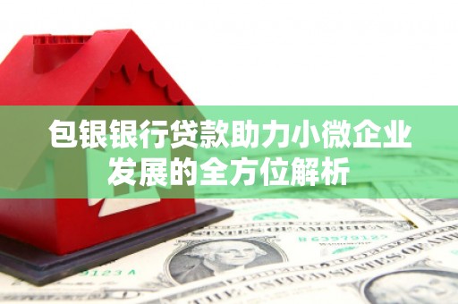 武平包银银行贷款助力小微企业发展的全方位解析