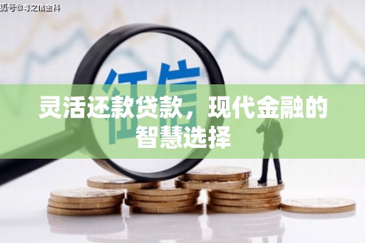 武平灵活还款贷款，现代金融的智慧选择
