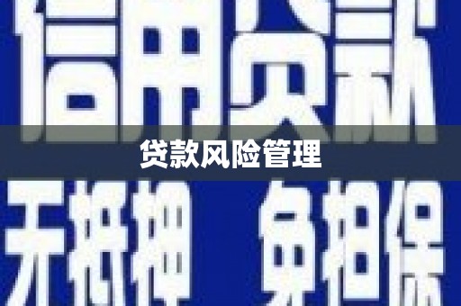 武平贷款风险管理