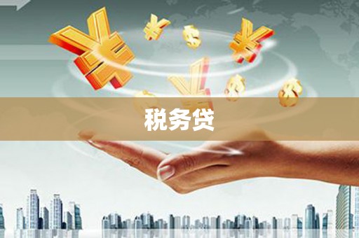 武平税务贷