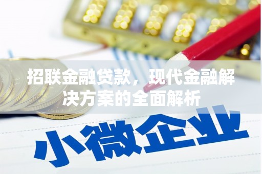 武平招联金融贷款，现代金融解决方案的全面解析