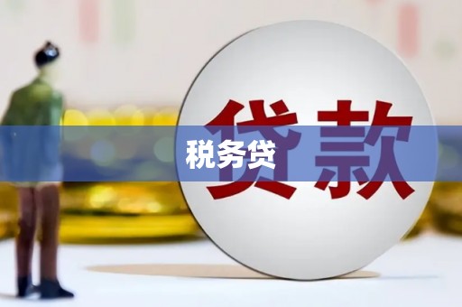 武平税务贷