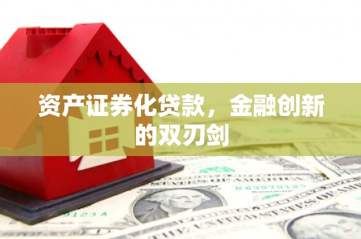 武平资产证券化贷款，金融创新的双刃剑