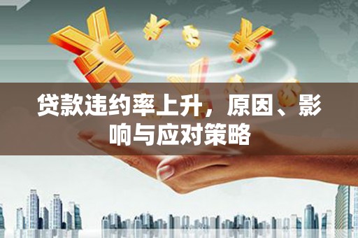 武平贷款违约率上升，原因、影响与应对策略