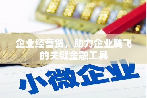 武平企业经营贷，助力企业腾飞的关键金融工具
