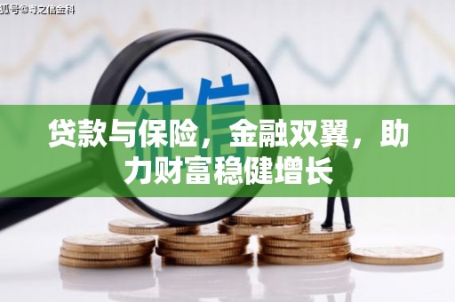 武平贷款与保险，金融双翼，助力财富稳健增长