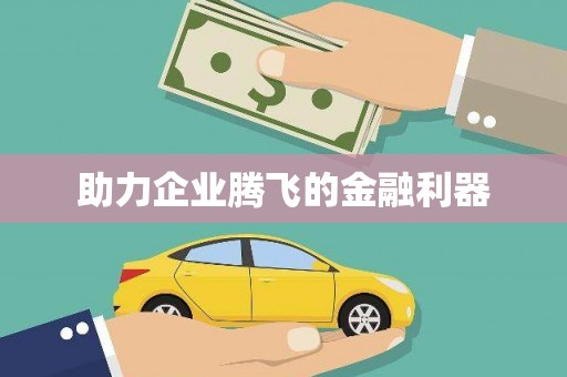 武平助力企业腾飞的金融利器