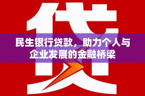 武平民生银行贷款，助力个人与企业发展的金融桥梁