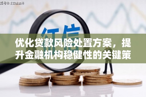 武平优化贷款风险处置方案，提升金融机构稳健性的关键策略