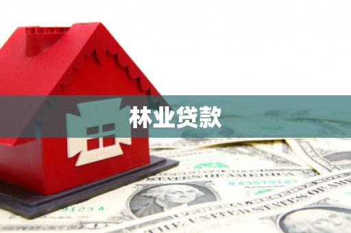 武平林业贷款