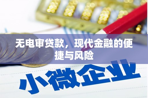 武平无电审贷款，现代金融的便捷与风险