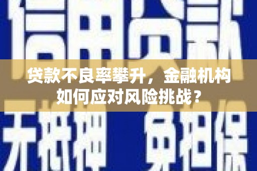 武平贷款不良率攀升，金融机构如何应对风险挑战？