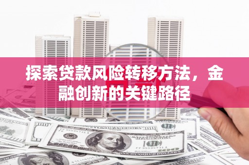 武平探索贷款风险转移方法，金融创新的关键路径