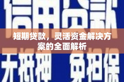 武平短期贷款，灵活资金解决方案的全面解析