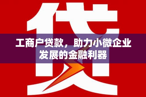 武平工商户贷款，助力小微企业发展的金融利器