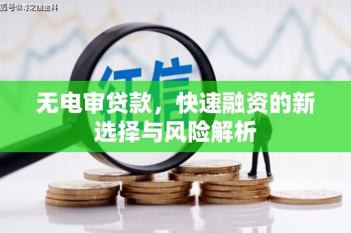 武平无电审贷款，快速融资的新选择与风险解析
